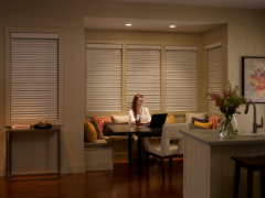 Lutron Blinds
